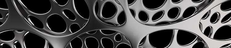 bu-banner2