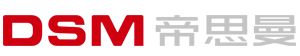 DSM logo